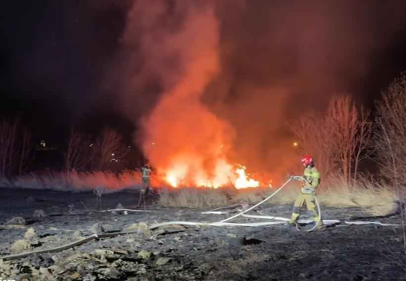 Pożar traw przy torach. Pociąg Jaworzyna Śląska – Legnica zatrzymany