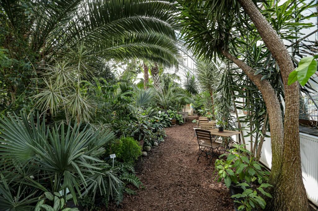 Ekobiblioteka w Legnickiej Palmiarni? Radni dali dziś zielone światło