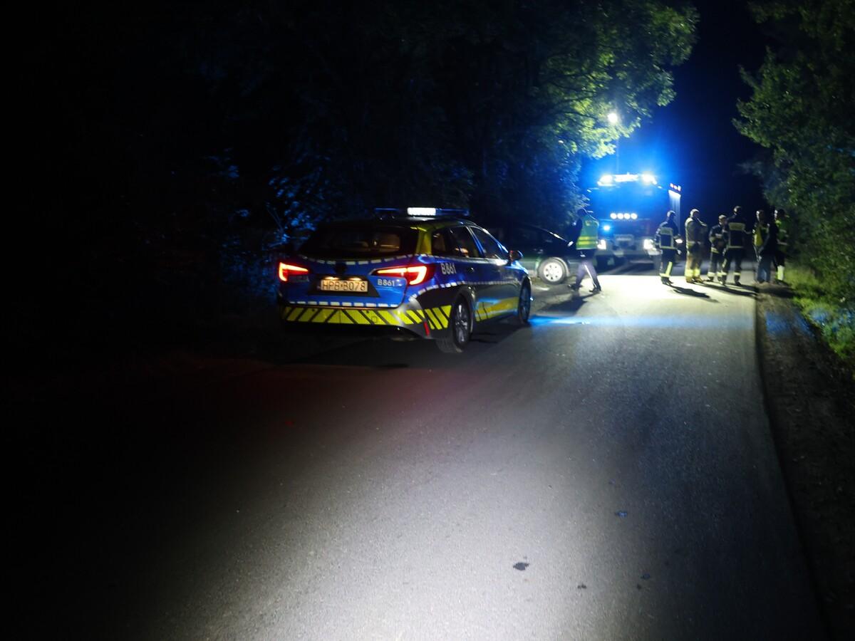 Groźny wypadek pod Legnicą. 19-latek uderzył w drzewo, pasażer trafił do szpitala